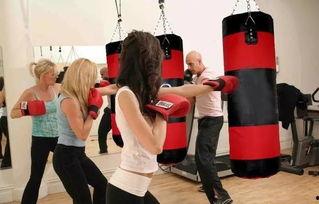 成人自学散打入门视频,跟随自学散打视频迈向实战之路